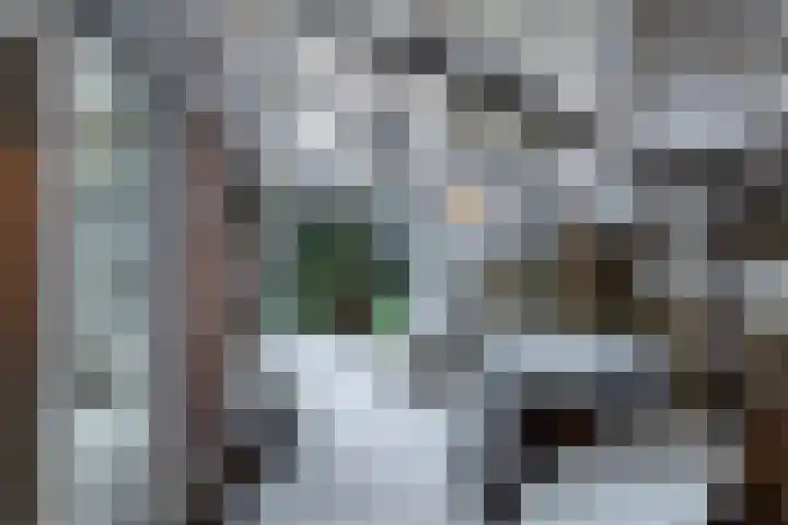 Leidseweg 228 Voorschoten thumbnail 70