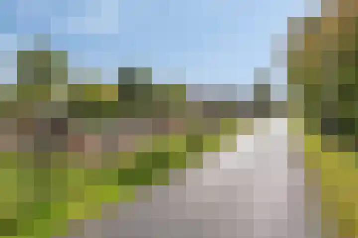 Leidseweg 229 a Voorschoten thumbnail 22