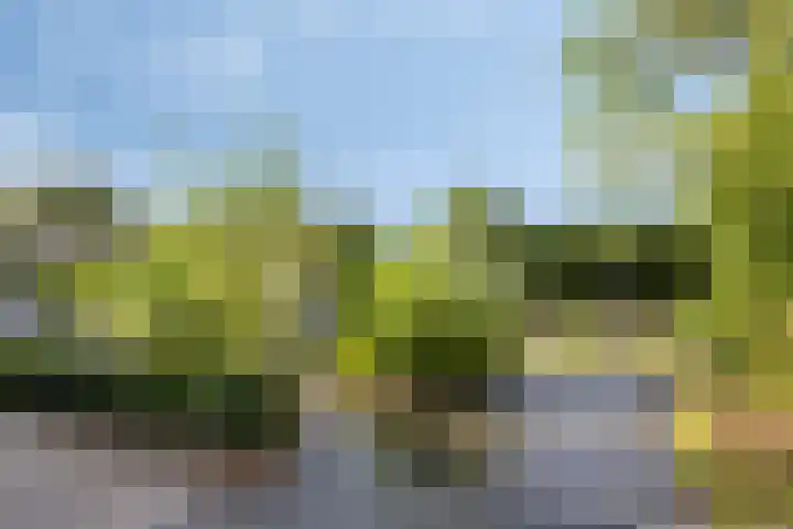 Leidseweg 229 a Voorschoten thumbnail 4