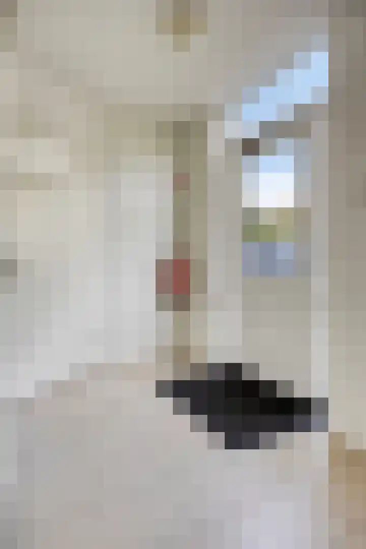 Leidseweg 229 a Voorschoten thumbnail 6