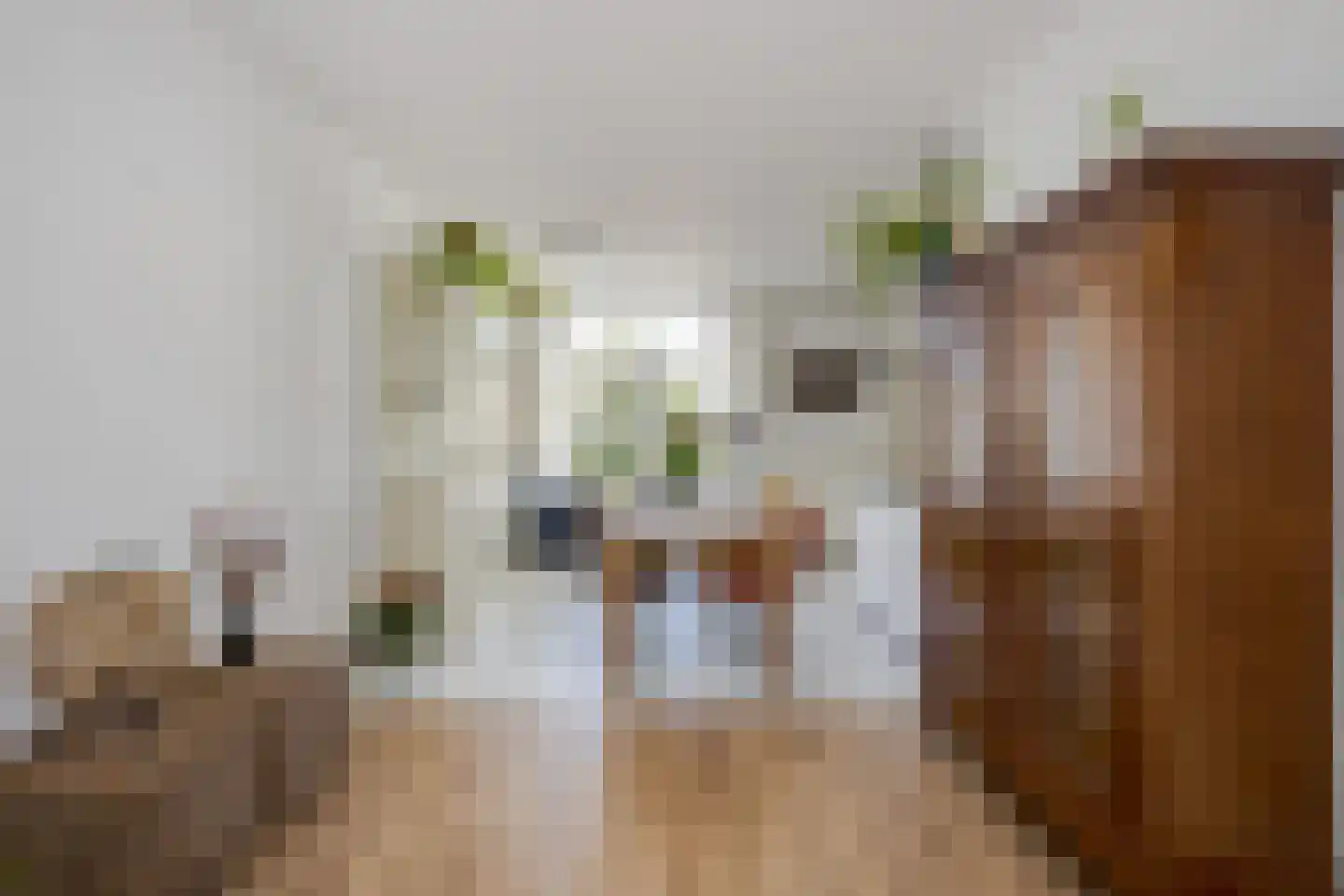 Leidseweg 251 Voorschoten thumbnail 15