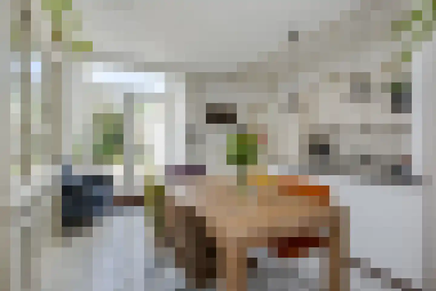 Leidseweg 251 Voorschoten thumbnail 16