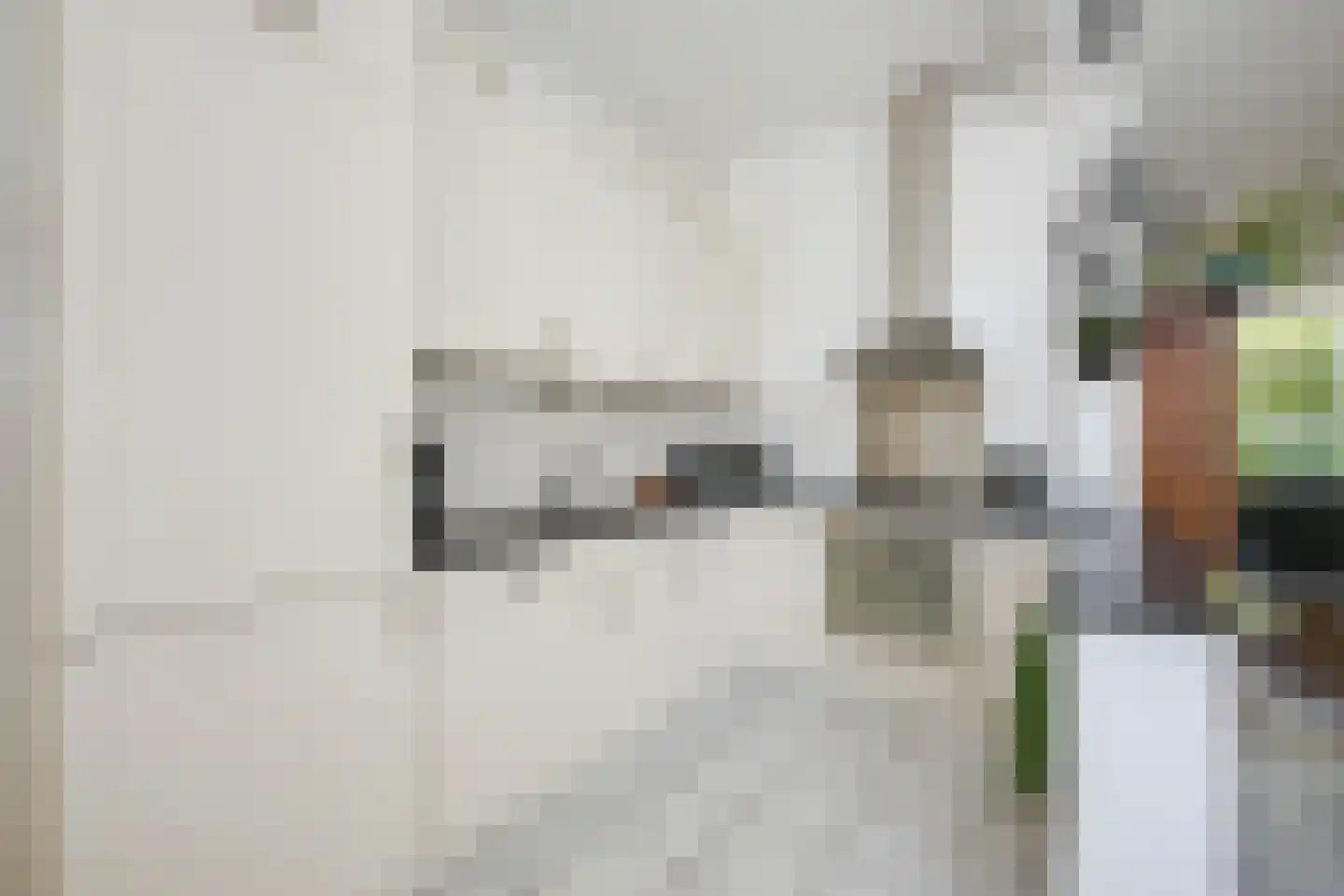 Leidseweg 251 Voorschoten thumbnail 18
