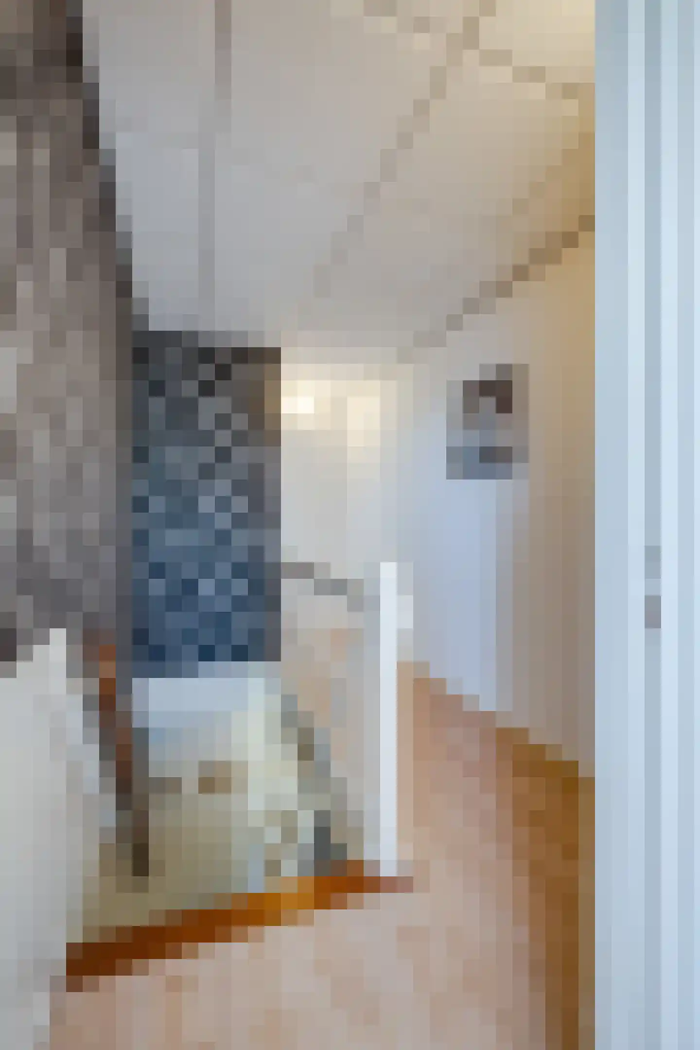 Leidseweg 251 Voorschoten thumbnail 27