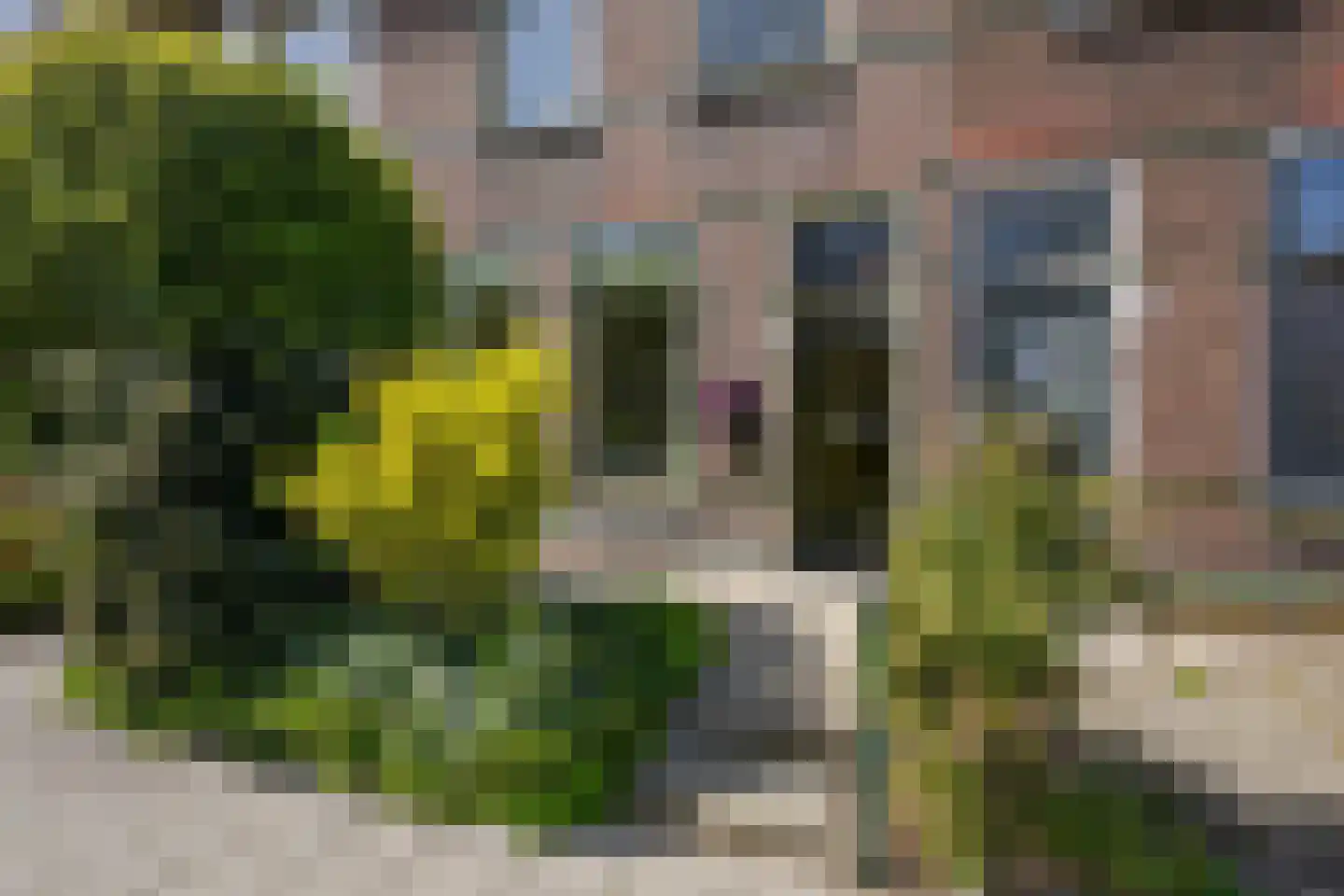 Leidseweg 251 Voorschoten thumbnail 5
