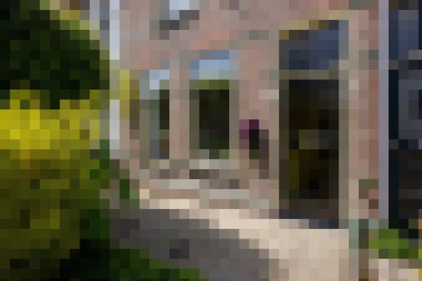 Leidseweg 251 Voorschoten thumbnail 6