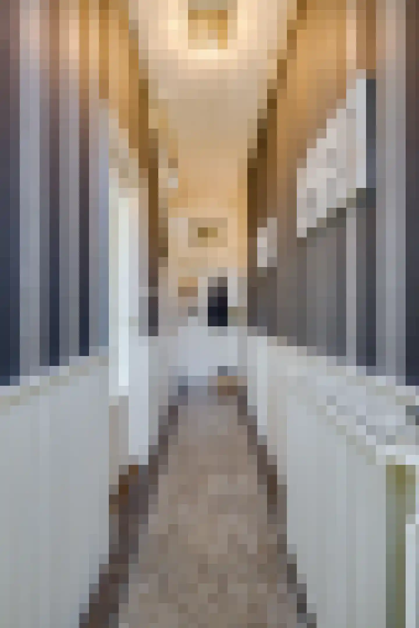 Leidseweg 251 Voorschoten thumbnail 8