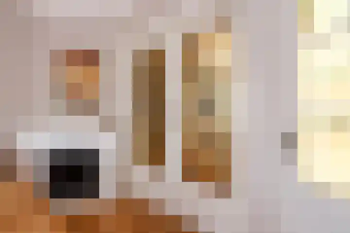 Leidseweg 265 Voorschoten thumbnail 16