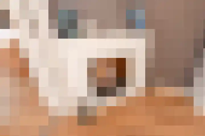 Leidseweg 265 Voorschoten thumbnail 18