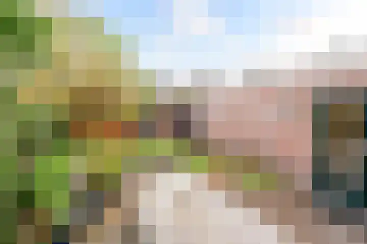 Leidseweg 265 Voorschoten thumbnail 34
