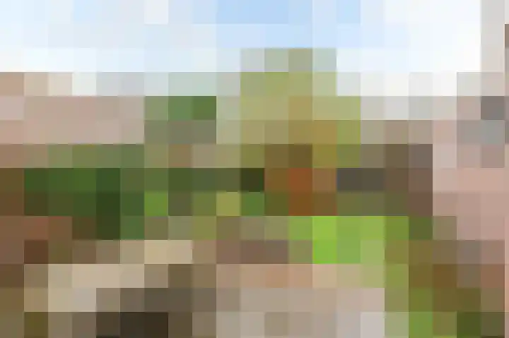 Leidseweg 265 Voorschoten thumbnail 36