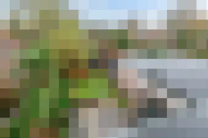 Leidseweg 265 Voorschoten thumbnail 55