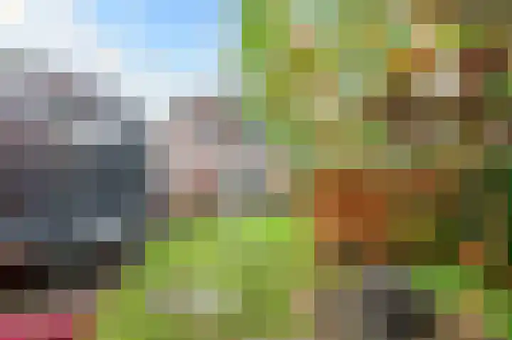 Leidseweg 265 Voorschoten thumbnail 71