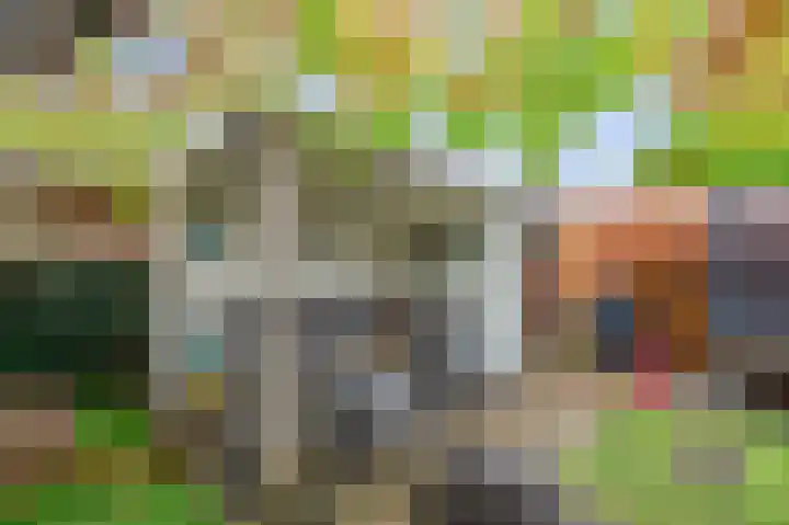 Leidseweg 265 Voorschoten thumbnail 74