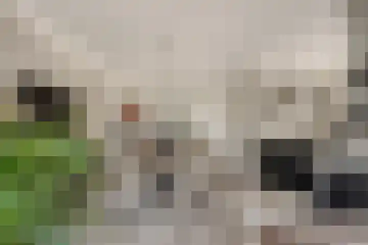 Leidseweg 277 Voorschoten thumbnail 24