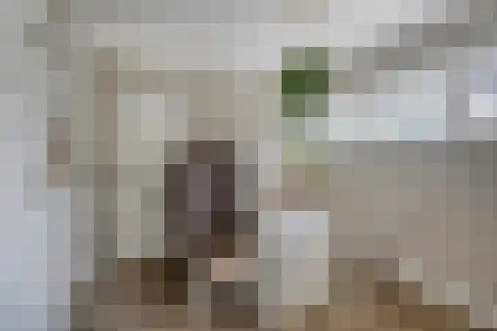Leidseweg 277 Voorschoten thumbnail 31