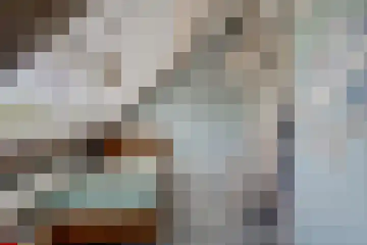 Leidseweg 277 Voorschoten thumbnail 46