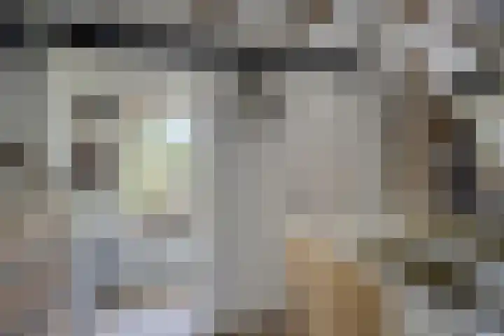 Leidseweg 277 Voorschoten thumbnail 53