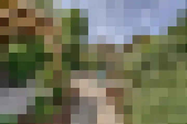Leidseweg 277 Voorschoten thumbnail 59