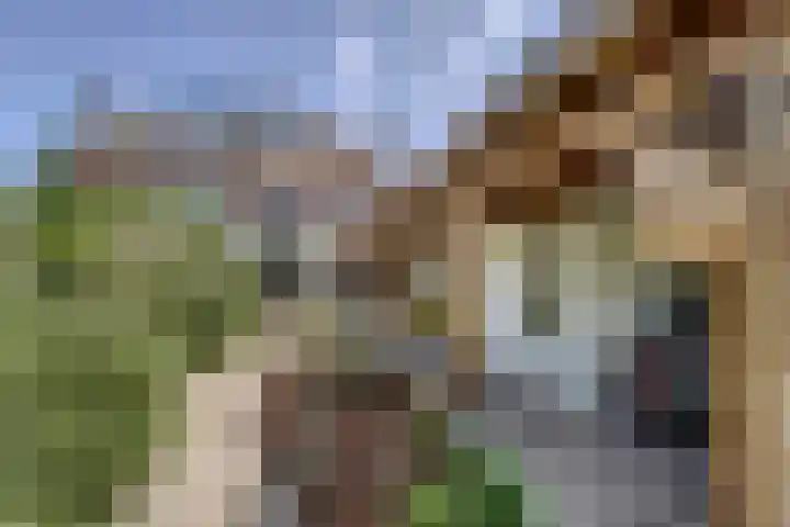 Leidseweg 277 Voorschoten thumbnail 61
