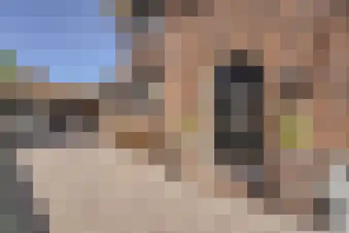 Leidseweg 277 Voorschoten thumbnail 8