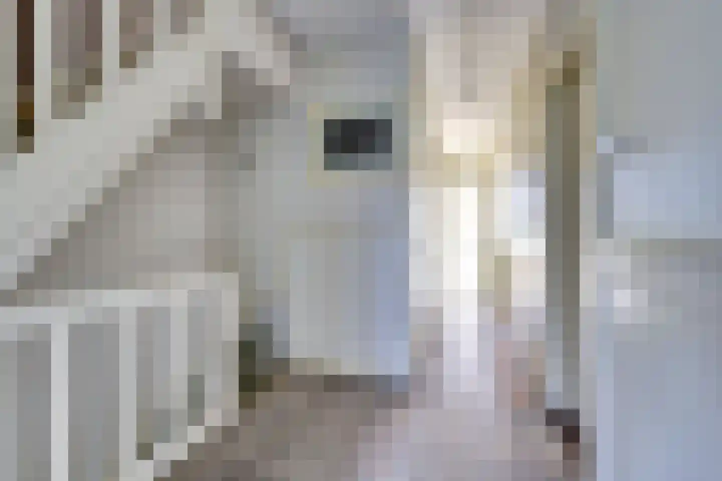 Leidseweg 29 A BS Utrecht thumbnail 16