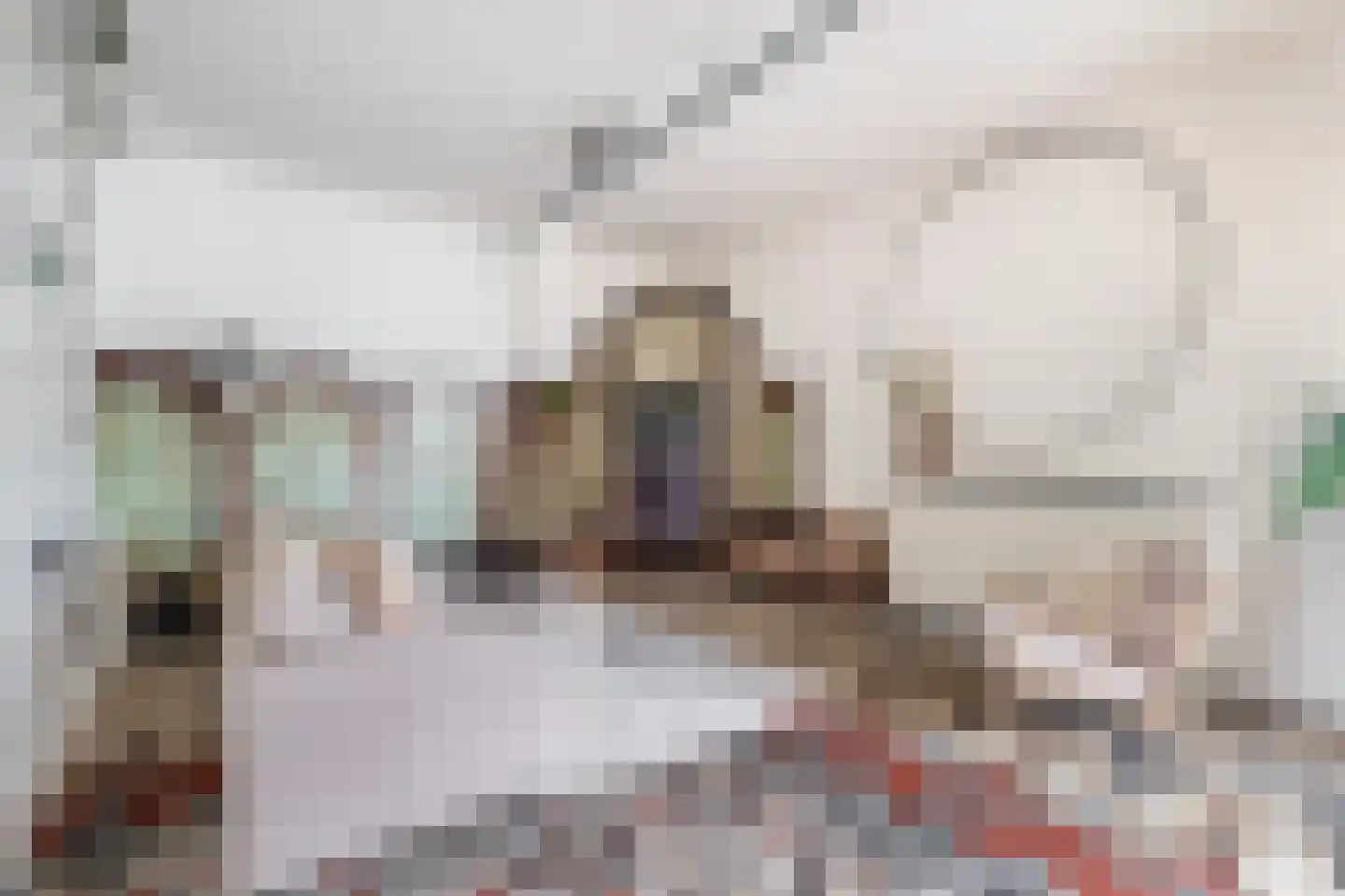 Leidseweg 30 A Utrecht thumbnail 5