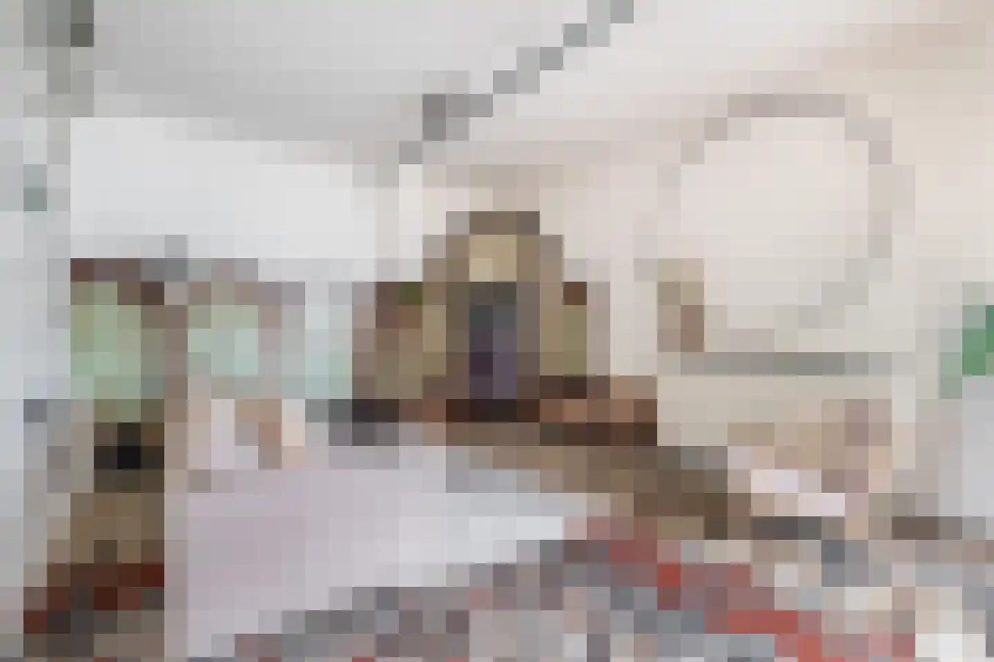 Leidseweg 30 A Utrecht thumbnail 6