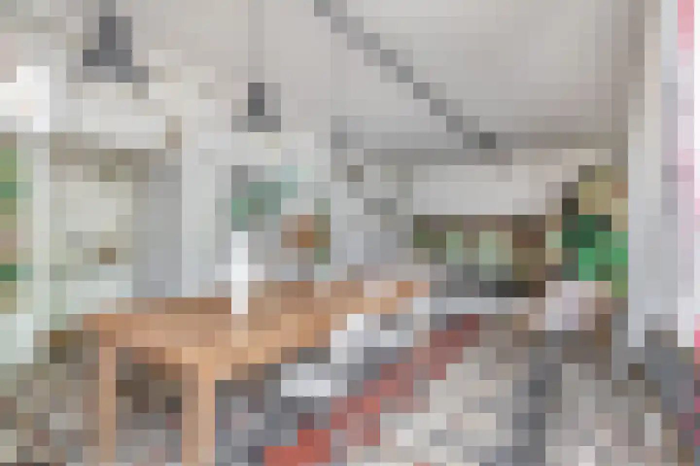 Leidseweg 30 A Utrecht thumbnail 9