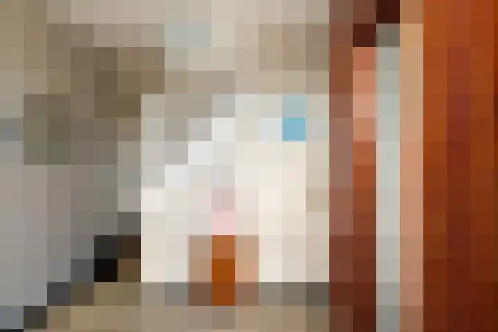 Leidseweg 30 Oud Ade thumbnail 11