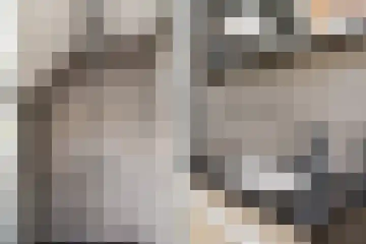 Leidseweg 30 Oud Ade thumbnail 19