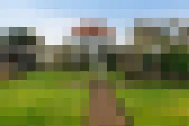 Leidseweg 30 Oud Ade thumbnail 26