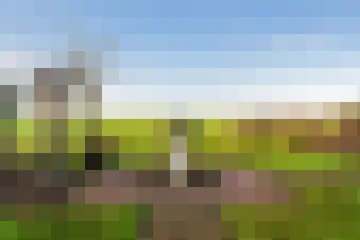 Leidseweg 30 Oud Ade thumbnail 28