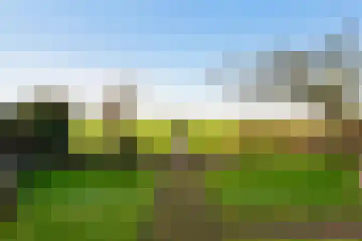 Leidseweg 30 Oud Ade thumbnail 29