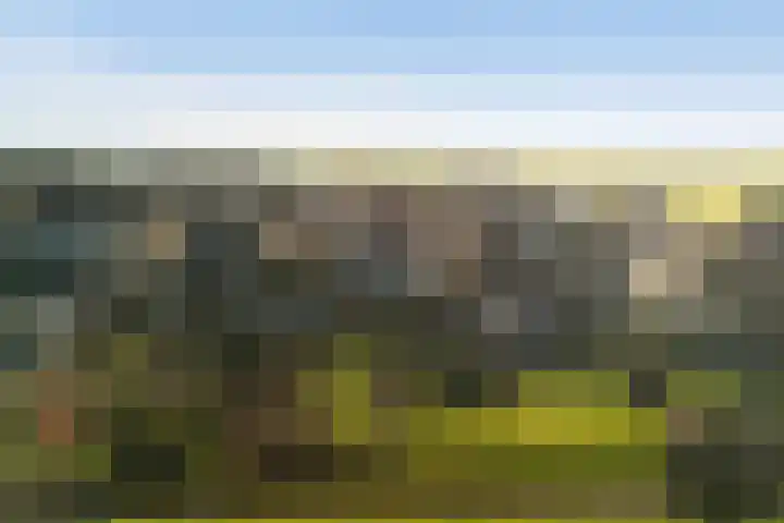 Leidseweg 30 Oud Ade thumbnail 30