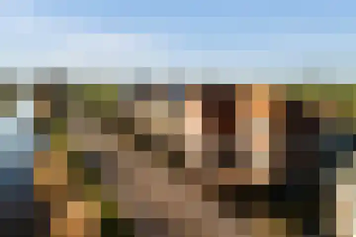 Leidseweg 30 Oud Ade thumbnail 31