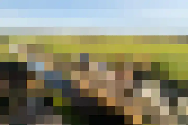 Leidseweg 30 Oud Ade thumbnail 32