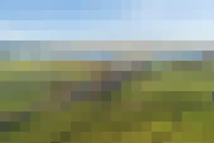 Leidseweg 30 Oud Ade thumbnail 33