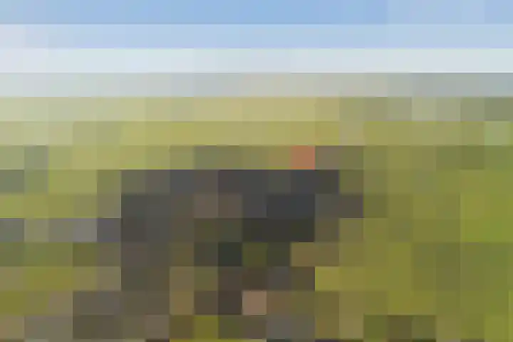 Leidseweg 30 Oud Ade thumbnail 34