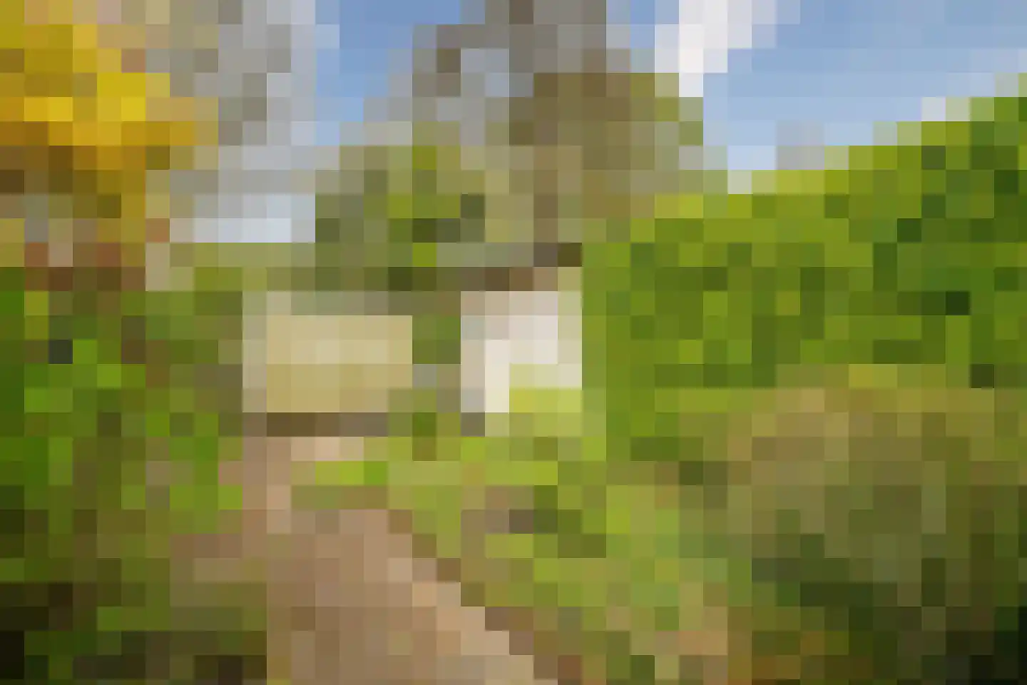 Leidseweg 309 Voorschoten thumbnail 16