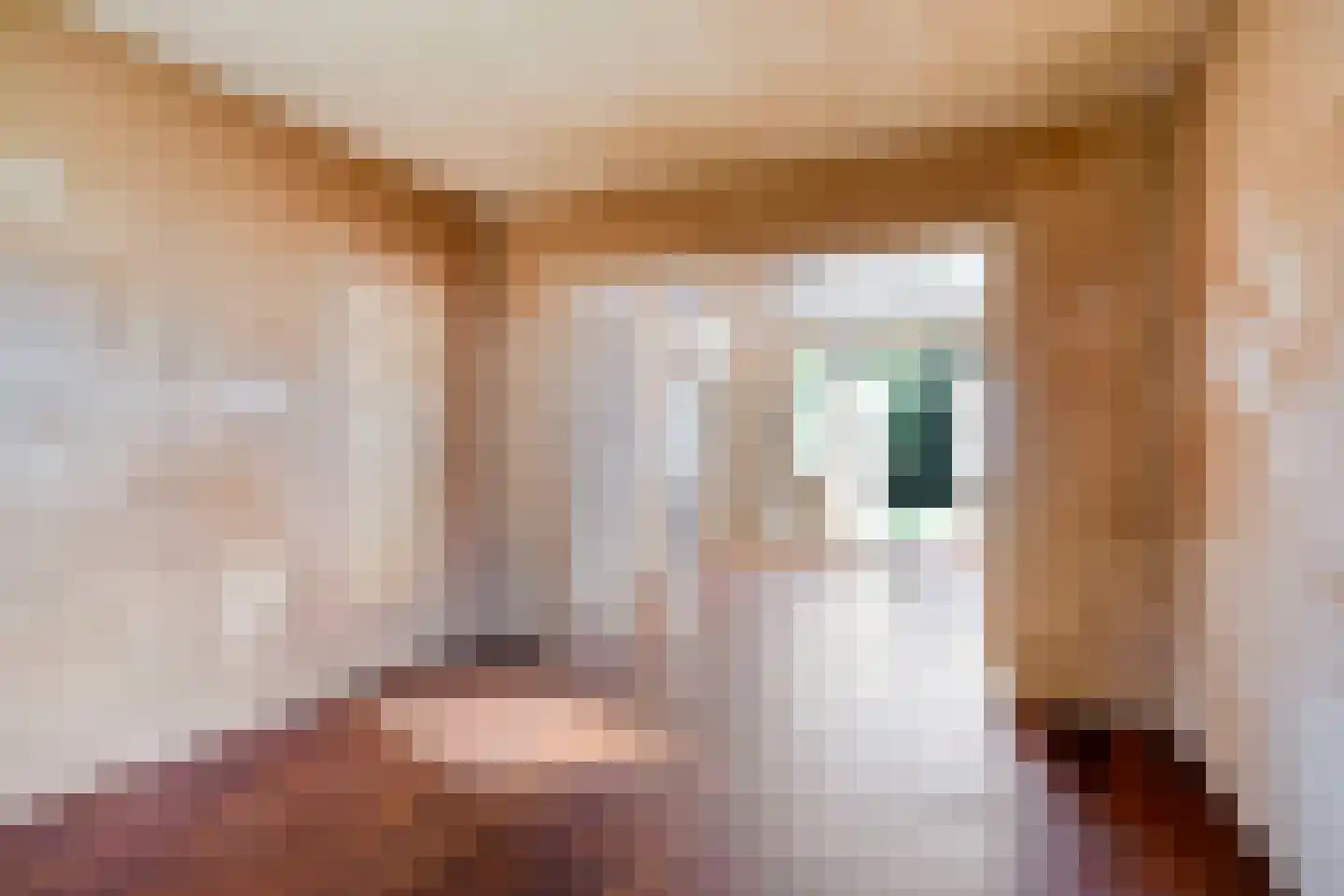 Leidseweg 325 Voorschoten thumbnail 11