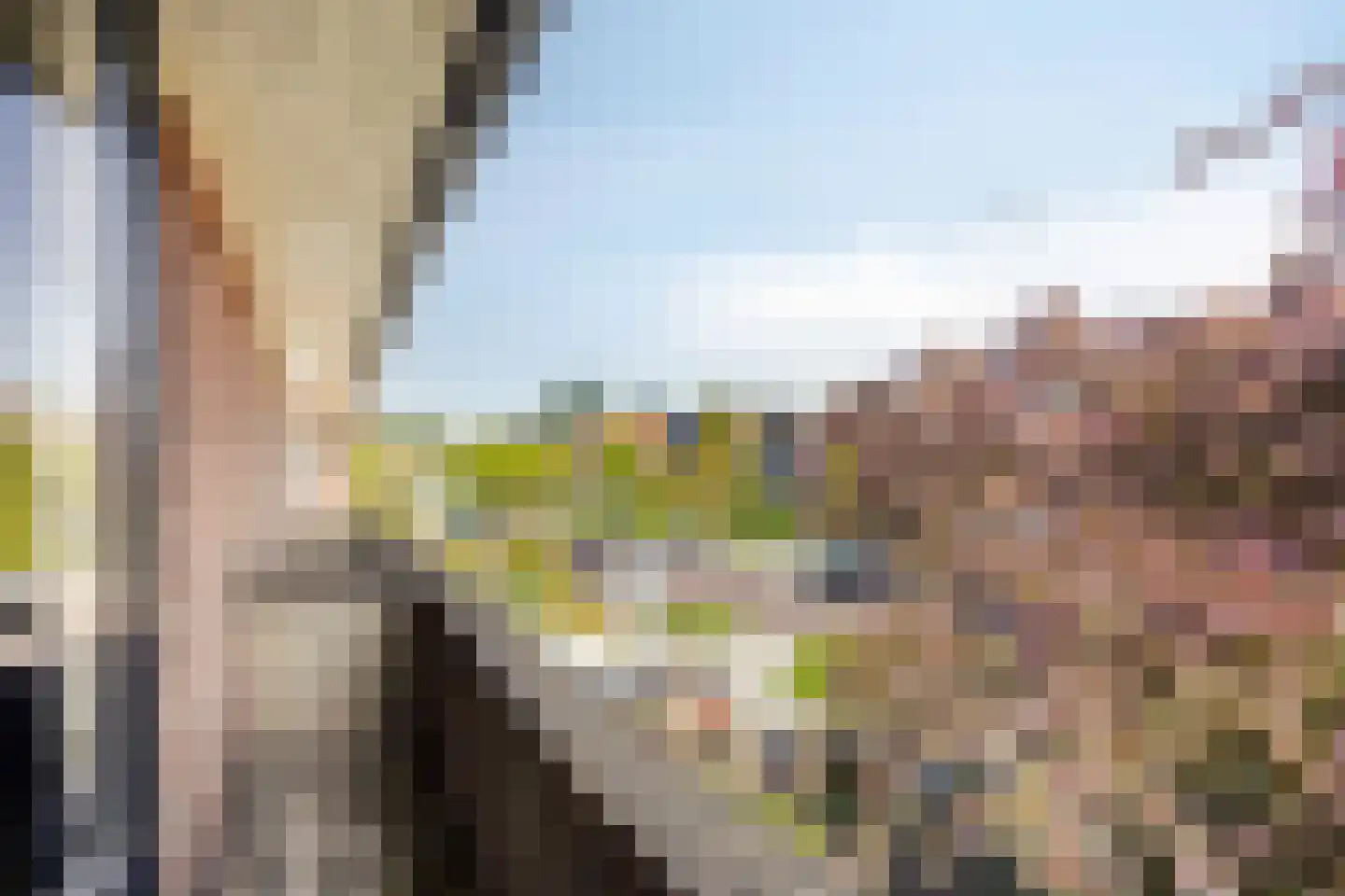 Leidseweg 325 Voorschoten thumbnail 22