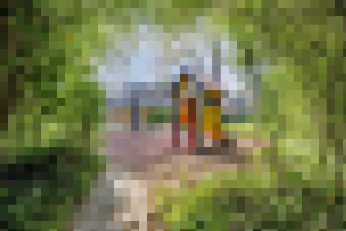 Leidseweg 325 Voorschoten thumbnail 40