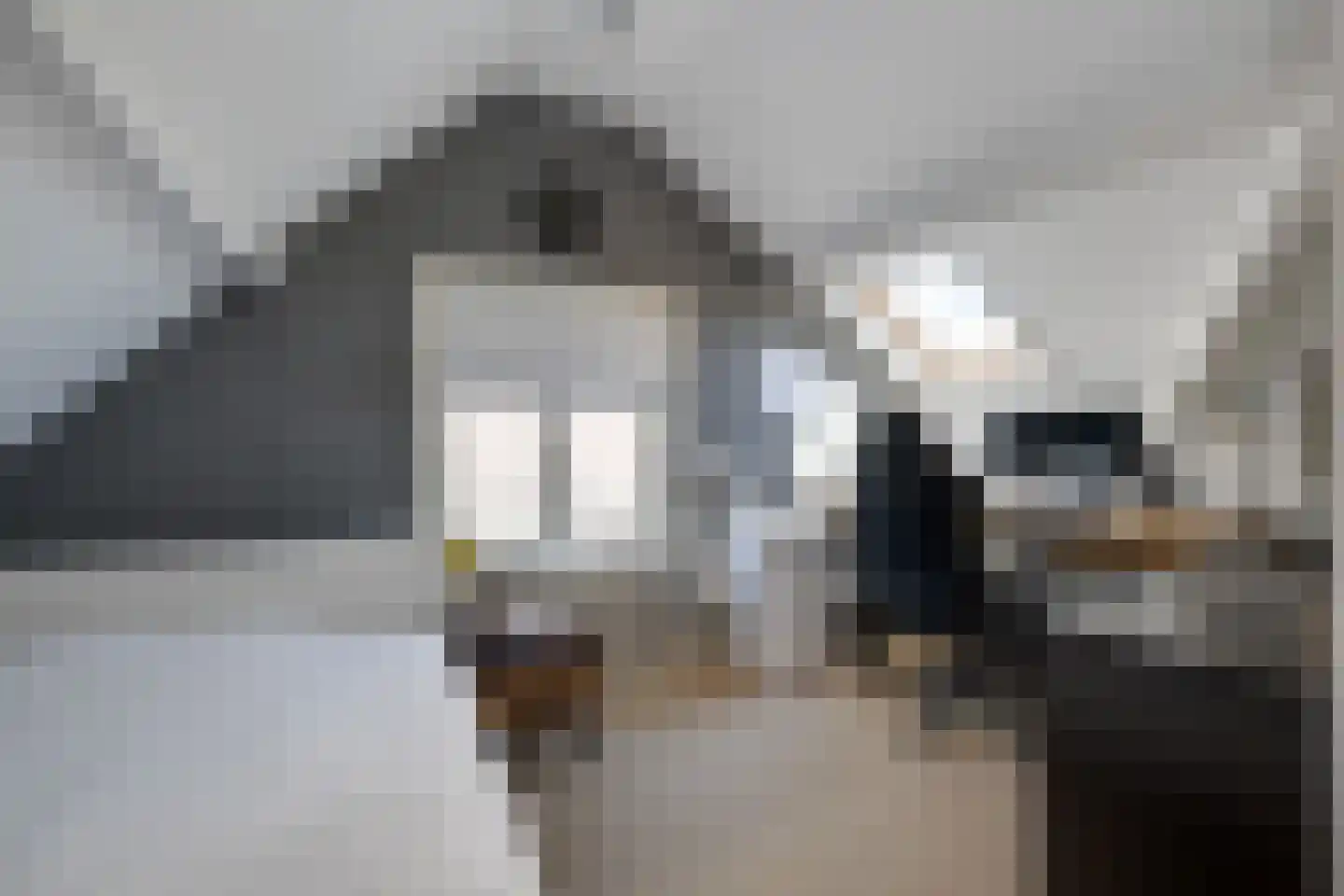 Leidseweg 354 Voorschoten thumbnail 41
