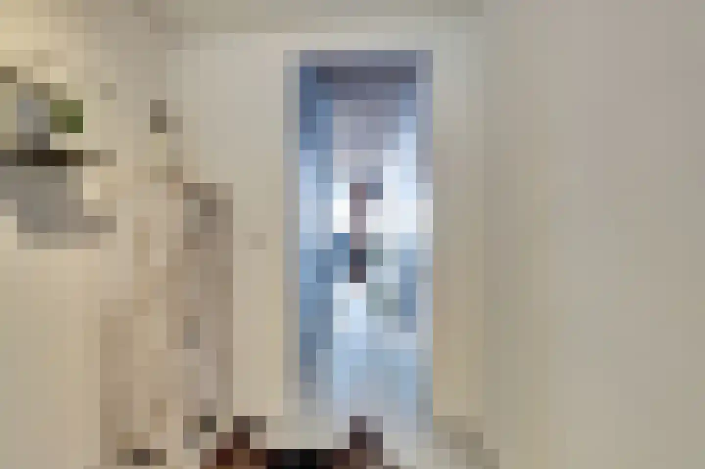 Leidseweg 36 b Oud Ade thumbnail 25