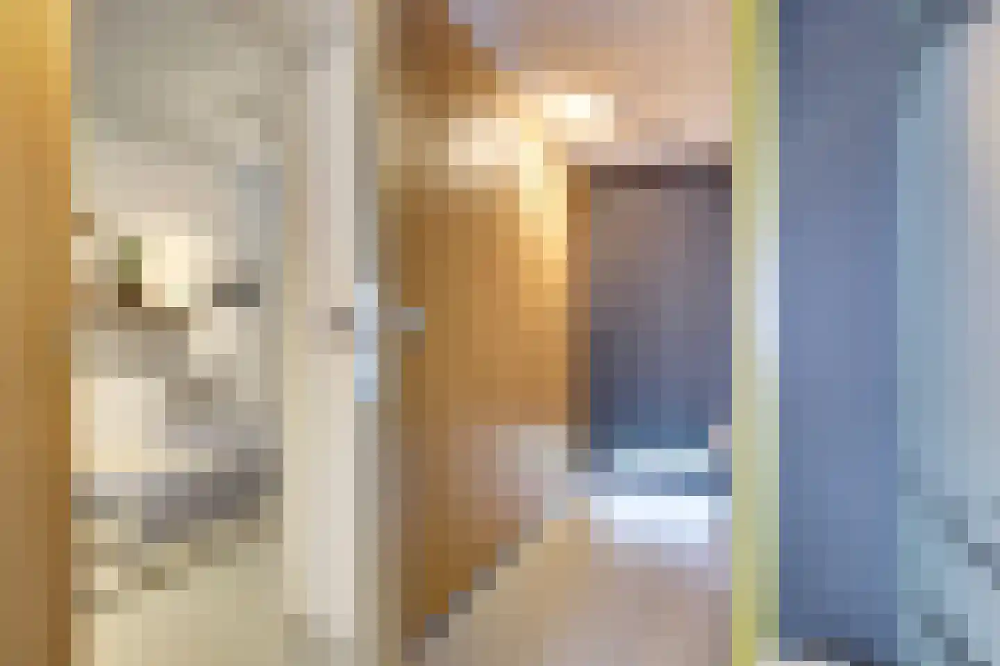 Leidseweg 36 b Oud Ade thumbnail 41
