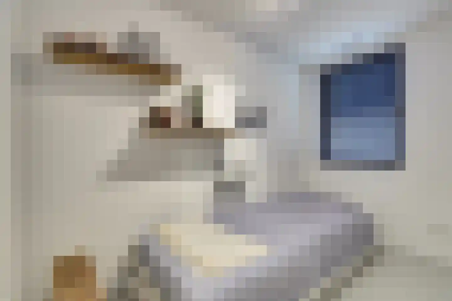 Leidseweg 36 b Oud Ade thumbnail 42