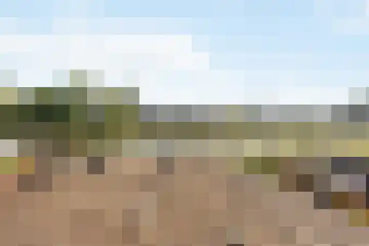 Leidseweg 376 Voorschoten thumbnail 23