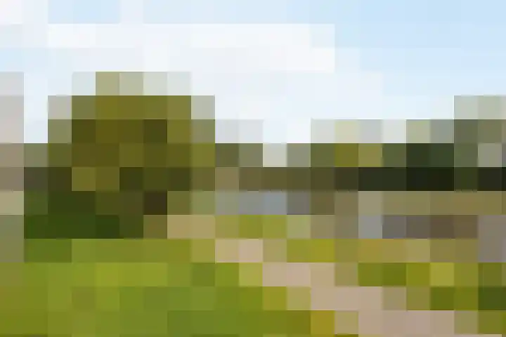 Leidseweg 376 Voorschoten thumbnail 24