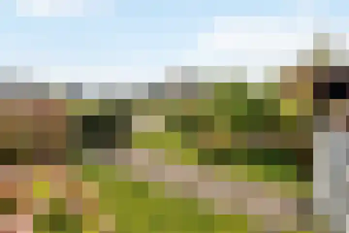 Leidseweg 376 Voorschoten thumbnail 34